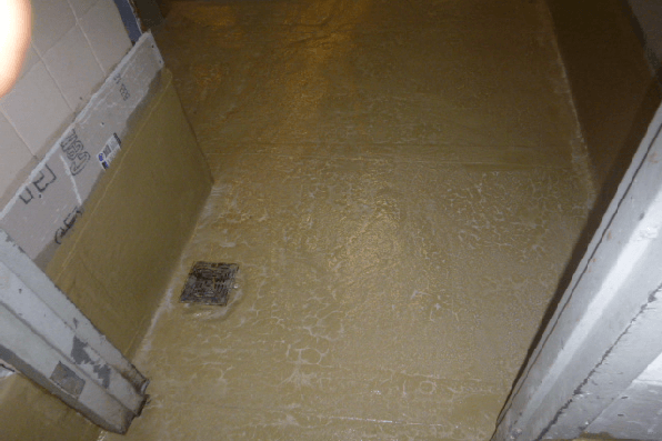 image-twotonecontracting-coatings-restoration-services-d